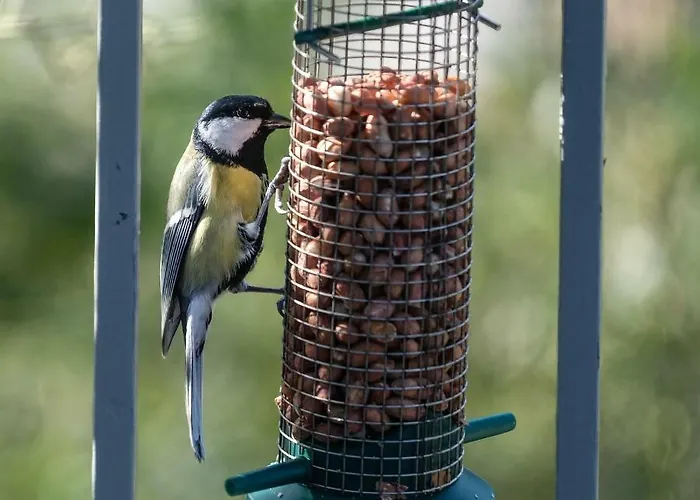 Loft Lumineux Tilff-liege Apartment Tilff