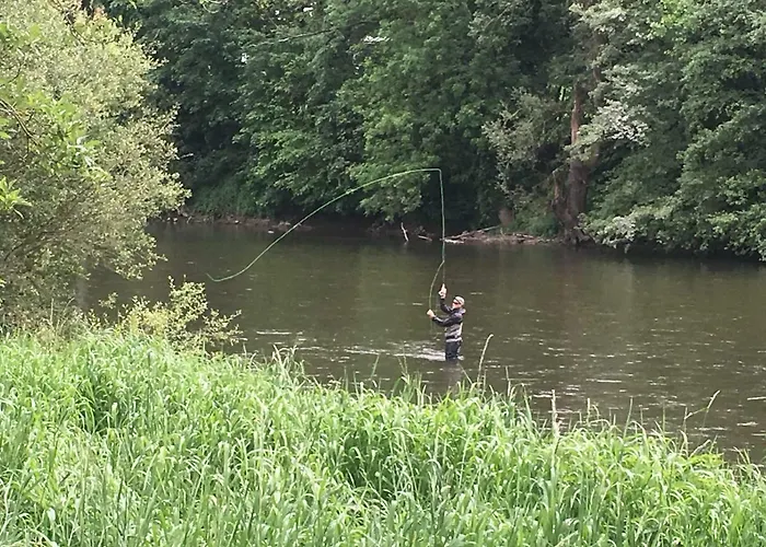 Loft Lumineux Tilff-liege